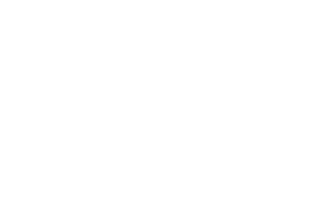 Räumungs-Profis